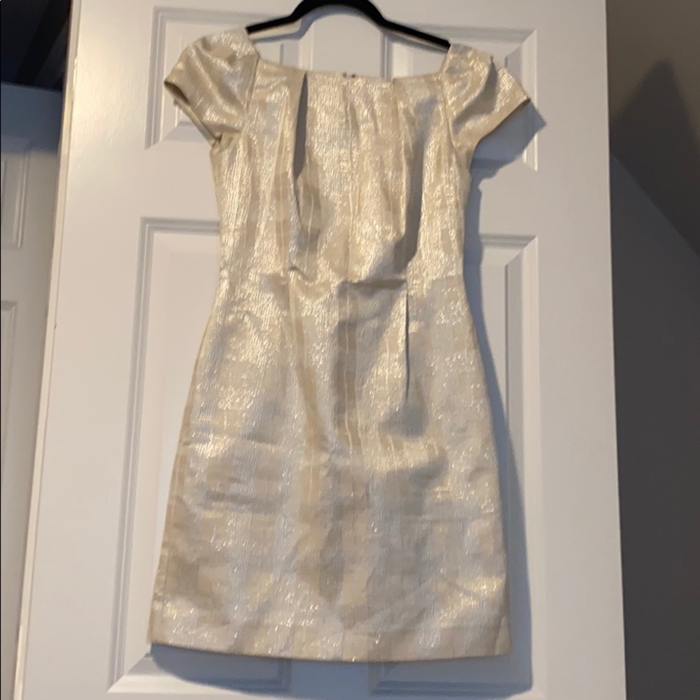 Club Monaco dress